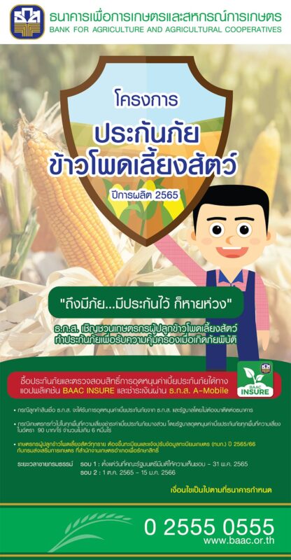 INSURANCECORN-65_80x180-01 INSURANCECORN-65_80x180-01