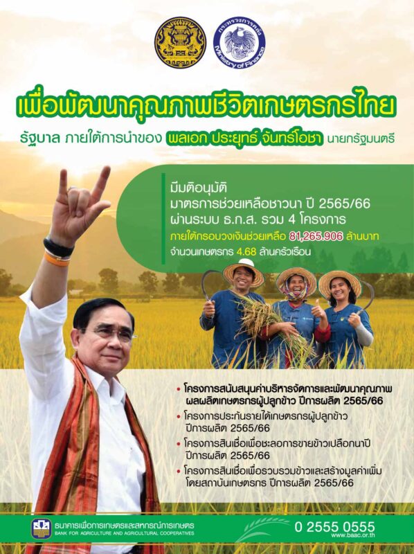 RICE-TU_AMOPlus-1136x1520 RICE-TU_AMOPlus-1136x1520